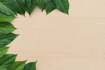 left border made from arrange fresh leaves.