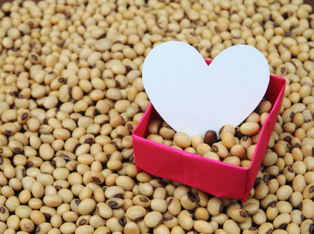 white paper shape heart in red paper box on soy bean backgroundの写真素材