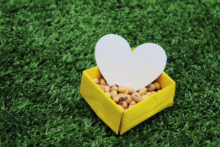 white paper shape heart in the paper box of soy beanの写真素材