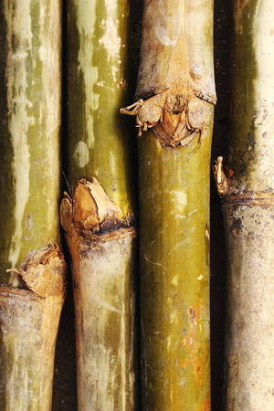 close up of old bamboo for decoration houseの写真素材