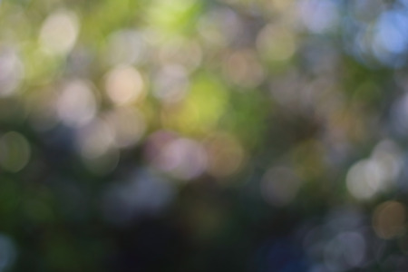 blur bokeh from flower bush and light from skyの写真素材
