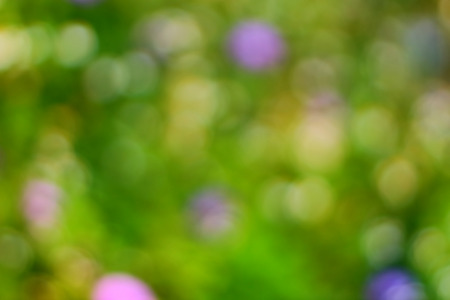 blur and bokeh from purple flower bushの写真素材