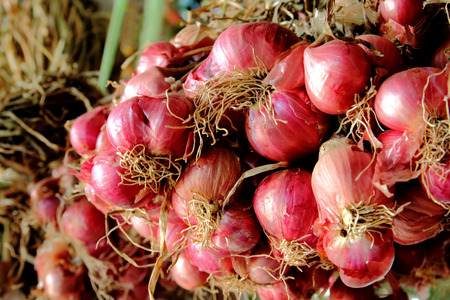 blur image of bunch shallot looks fresh and shinyの写真素材