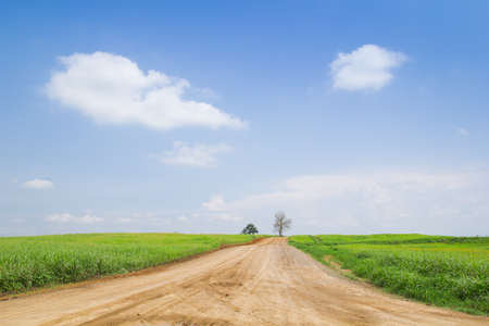 Meadow against the skyの写真素材