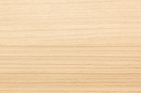 Seamless texture wood old oak or modern wood textureの写真素材