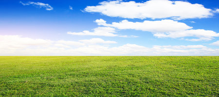 field green grass blue sky with cloud cloudy landscape backgroundの写真素材