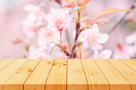 Wooden table top on blurred sakura cherry blossom background - can be used for display or montage your productsの写真素材