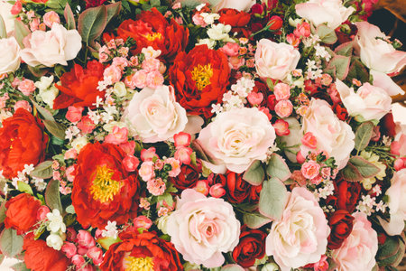 Floral background of red and white roses and gypsophilaの写真素材