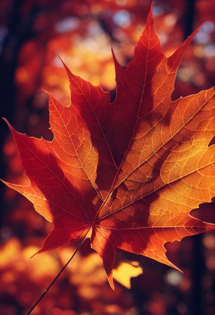 maple leaf  symbolic of autumn 3d illustrationの素材