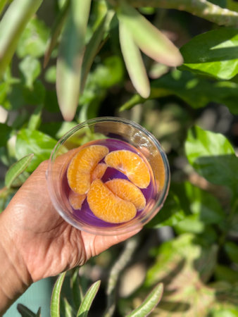A glass of tangerine in butterfly peas juice in a female hand on nature background