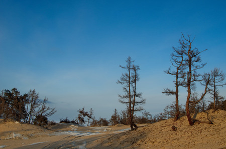 Russia. The Eastern Siberia. Lake Baikal, the sandy shore of the Olkhon Island from the Small sea.の写真素材