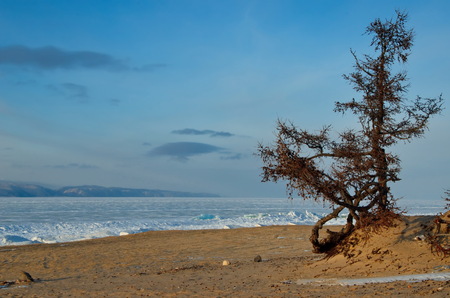 Russia. The Eastern Siberia. Lake Baikal, the sandy shore of the Olkhon Island from the Small sea.の写真素材