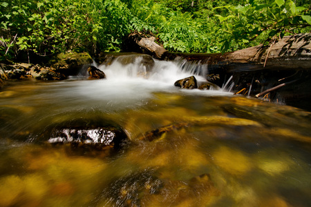Russia. The South Of Western Siberia. Early summer in the Kuznetsk Alatau.の写真素材