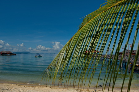 East Malaysia. Reef of Mabul island