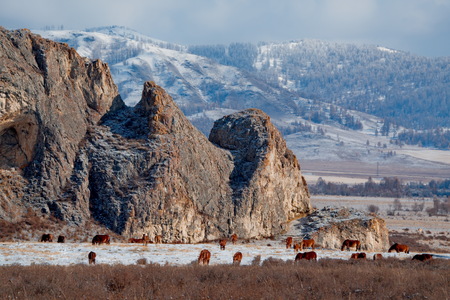 Russia. The South Of Western Siberia. Late autumn in the Altai mountains