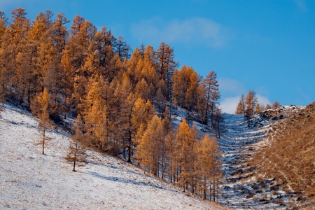 Russia. The South Of Western Siberia. Late autumn in the Altai mountainsの写真素材