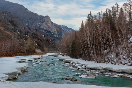Russia. mountain Altai. Katun river along the river near Maly Yalomanの写真素材