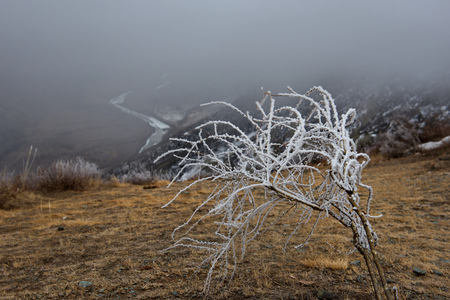 Cold fog in Altai mountains. Russia. Early morning at the Katu-Yaryk pass with views of the Chulyshman river valley.の写真素材