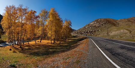 Russia. South Of Western Siberia. Mountain Altai, Chuya road at the village of Kupchegenの写真素材