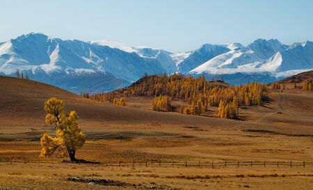 Russia. Mountain Altai. Desert steppes at the foot of the North Chui mountain range along the Chui tract.の写真素材