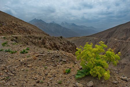 Central Asia. Tajikistan. Pamir tract near the border of the Panj river.