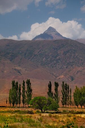 Kyrgyzstan. Kungei-Alatau mountain range on the Northern coast of lake Issyk-Kul. In the mountain valleys of the Tien Shanの写真素材