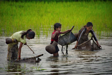 Gauhati. Eastern India. February 11, 2016. Village girls catch very small fish in the water of a...