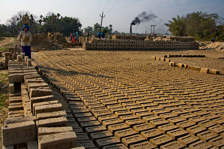 Assam. India February 08, 2016. A small brick factory. Workers lay sun-dried clay bricks in stacks...