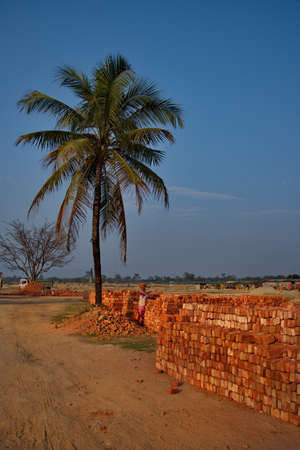 Assam. India A small brick factory. Burnt bricks, stacked in the open air, waiting for a truck.のeditorial素材
