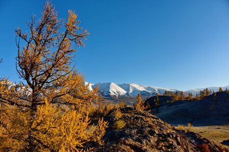 Russia. Sunny autumn day in the Altai mountains. Late autumn at the North-Chuya mountain range in...