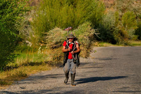 Ishkashim. Tajikistan. August 08, 2019. An elderly man from a mountain village carries a haystack on his shoulders along the Pamir highway.のeditorial素材