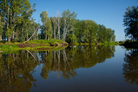Russia. The South Of Western Siberia. Summer windless day on the Ob river