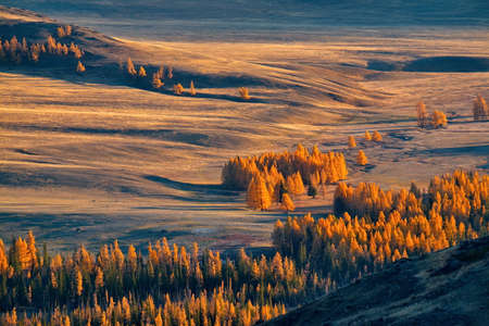 Russia. Gloomy sunset in the Altai mountains. Late autumn at the North-Chuya mountain range in the heart of the Kurai steppe.の写真素材
