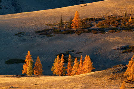 Russia. Gloomy sunset in the Altai mountains. Late autumn at the North-Chuya mountain range in the heart of the Kurai steppe.の写真素材