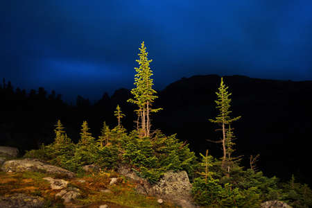 Russia. South of the Krasnoyarsk territory, Eastern Sayans. Natural mountain Park "Ergaki". The shore of lake Raduzhnoye.の写真素材