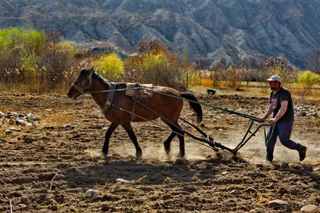 Hebda. Russia. North-Eastern Caucasus. April 08, 2021. A young peasant plows the land with an iron...