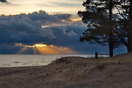 Russia. Republic of Karelia. A picturesque sunset in a pine forest on the north-eastern shore of Lake Onega.の写真素材