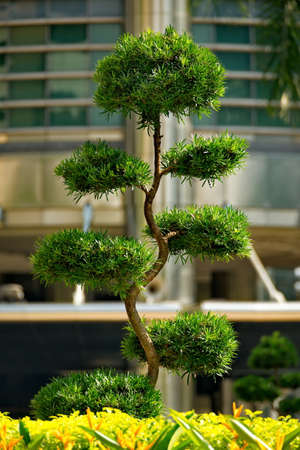 Kuala Lumpur. Malaysia. Decorative surreal trees in the park in front of the entrance to the...