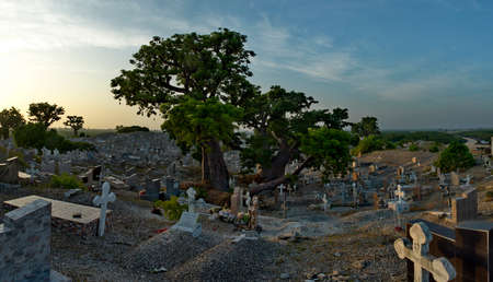 Joal. Senegal. October 15, 2021. Catholic cemetery surrounded by majestic baobabs near the fishing...