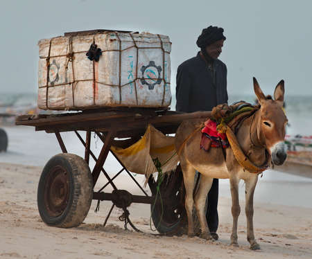 Nouakchott. Mauritania. October 03, 2021. A coachman with a donkey harnessed to a two-wheeled cart transports the cargo of fishermen both before fishing and after returning from fishing.のeditorial素材