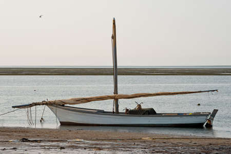 West Africa. Mauritania. Unique sailing boats moored to the shore in the Banc National Nature Park....
