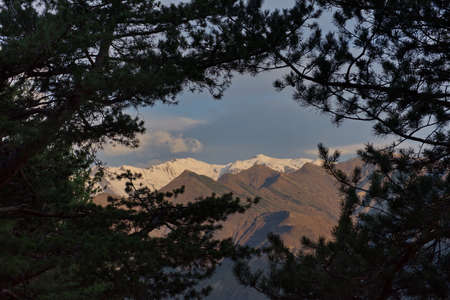 Russia. Republic of Dagestan. North-Eastern Caucasus. View from a high-altitude pine forest to the mountains above the valley of the Koysu river near the town of Agvali.の写真素材