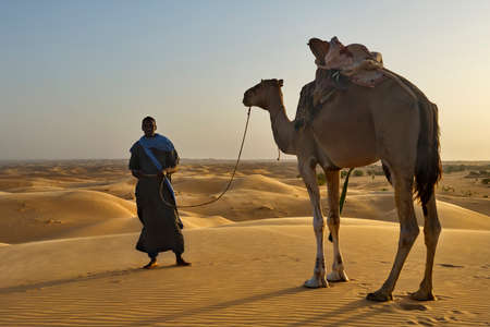 Shingetti. Mauritania. October 05, 2021. A lonely Moor in national dress leads a loaded one-humped camel through the sandy dunes of the Sahara Desert.のeditorial素材