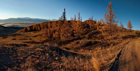 Russia. Gloomy sunset in the Altai mountains. Late autumn at the North-Chuya mountain range in the...
