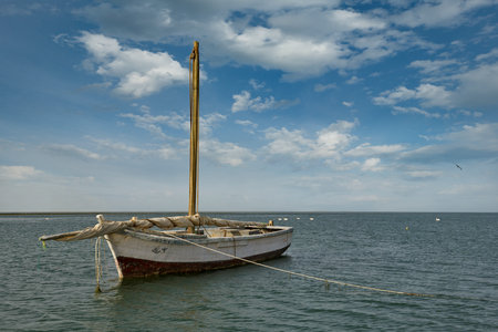 West Africa. Mauritania. A unique sailing boat is moored to the shore in the Bank National Nature...