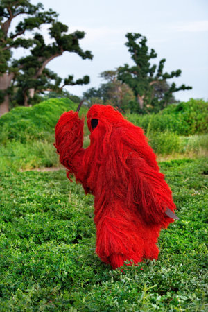 Nguehoh. Senegal. October 14, 2021. The participant of the ritual dances is a red spirit Guide with two machetes. With his dance, he reminds the boys of the imminent rite of initiaのeditorial素材