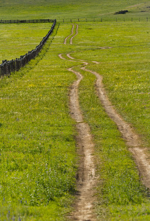 Russia. The South of Western Siberia, the Altai Mountains. A dirt road stretching into the distance along a wooden fence around summer pastures.の写真素材