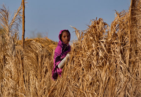 Shingetti. Mauritania. October 05, 2021. Portrait of a young African girl in national Muslim clothes against the background of a fence made of local reeds growing in the oases of tのeditorial素材