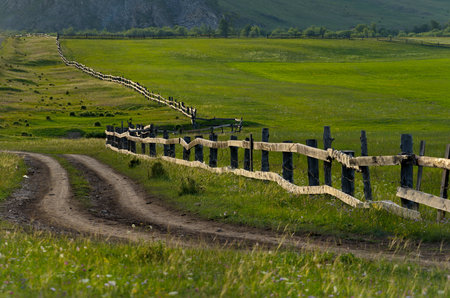 Russia. The South of Western Siberia, the Altai Mountains. Illuminated by the morning dawn sun, a wooden fence along a dirt road on pastures in mountain valleys.の写真素材