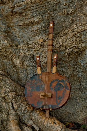 West Africa. Senegal. National stringed plucked instrument Kora on the background of a huge baobab. Kora is a cross between a harp and a lute.の写真素材